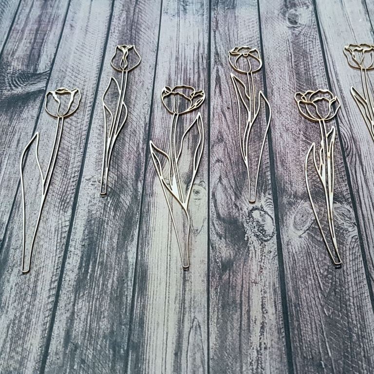 20190125_103639_resized_1__1548416932_499