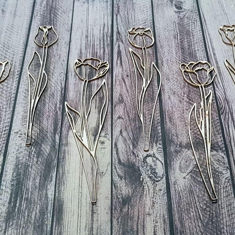 20190125_103639_resized__1548416932_431