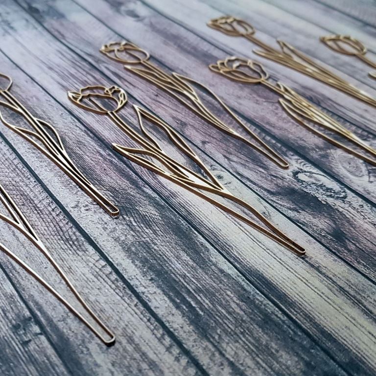 20190125_103643_resized__1548416932_277