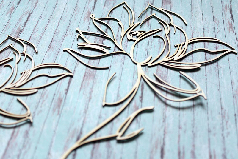 IMG_9902__1537726152_590