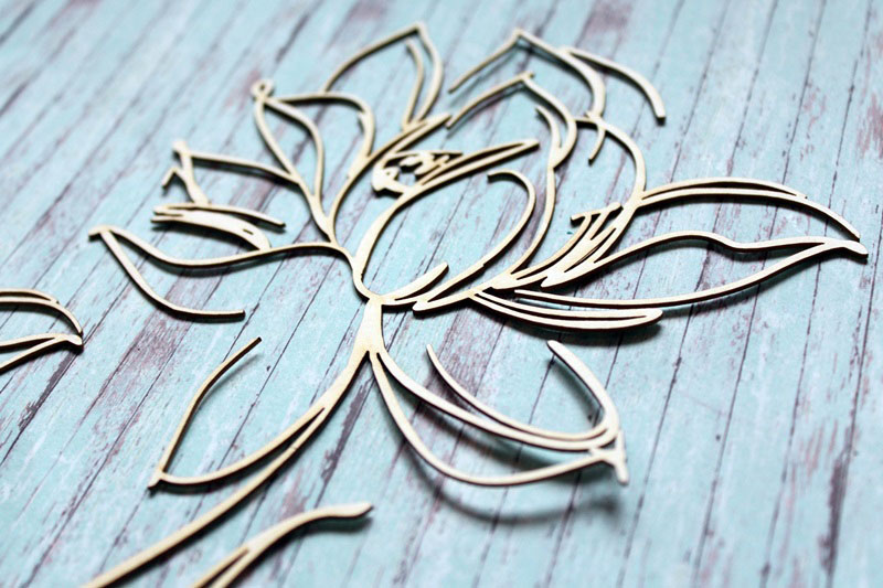 IMG_9904__1537726153_708