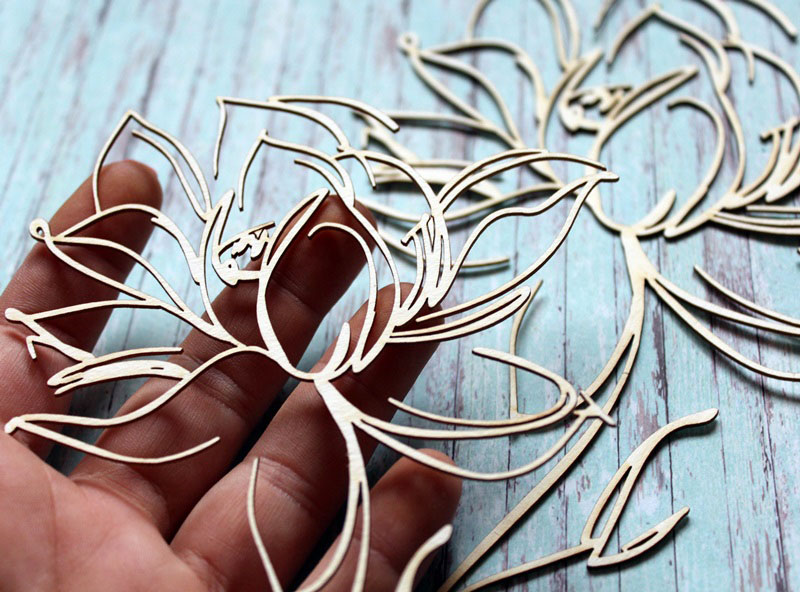 IMG_9906__1537726152_561