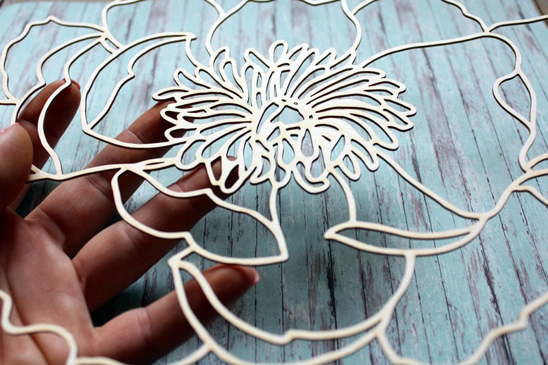 IMG_9914__1537817226_956