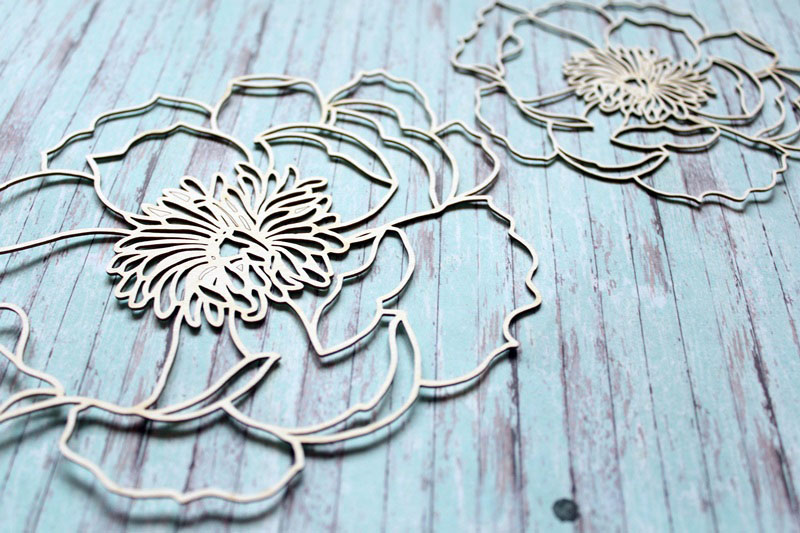 IMG_9922__1537725152_690