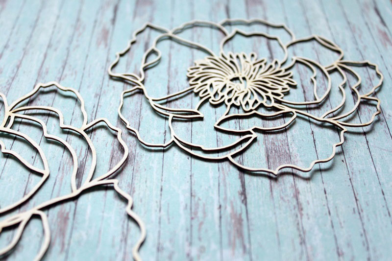 IMG_9923__1537725152_883