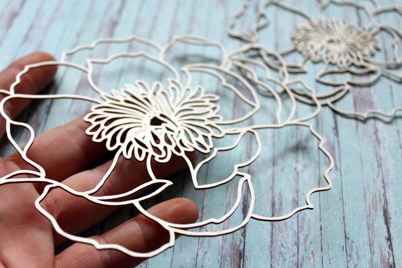 IMG_9924__1537725153_423