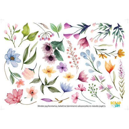 akvarell-tavasz-1777436769