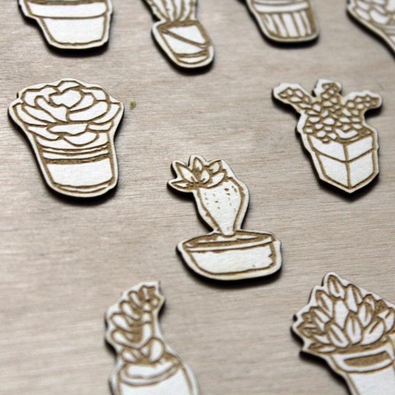 cserepes_pozsgasok_mini_noicsizma2__1533027657_58