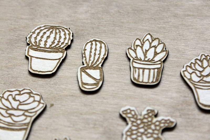 cserepes_pozsgasok_mini_noicsizma3__1533027657_463