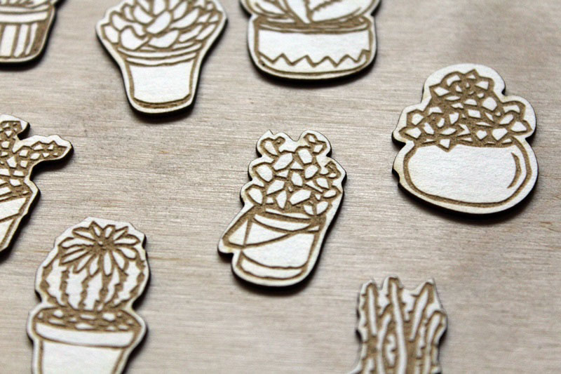 cserepes_pozsgasok_mini_noicsizma4__1533027657_361