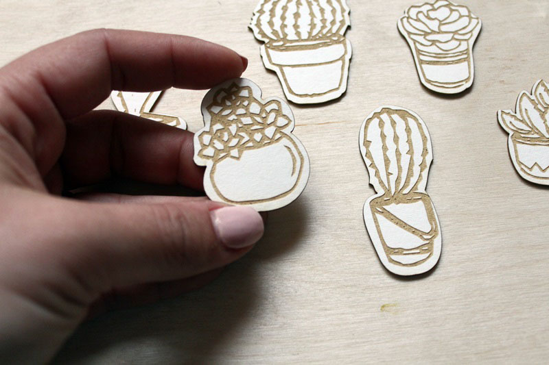 cserepes_pozsgasok_noicsizma5__1533027707_948