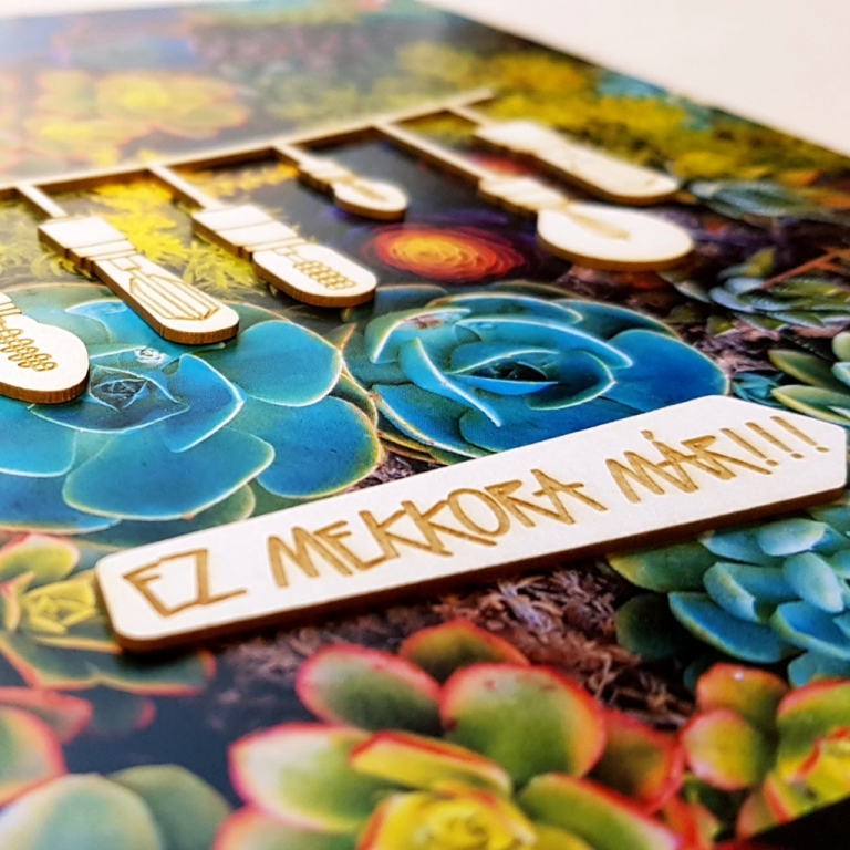 noicsizma_merj_elni_alkoto19__1557228005_405