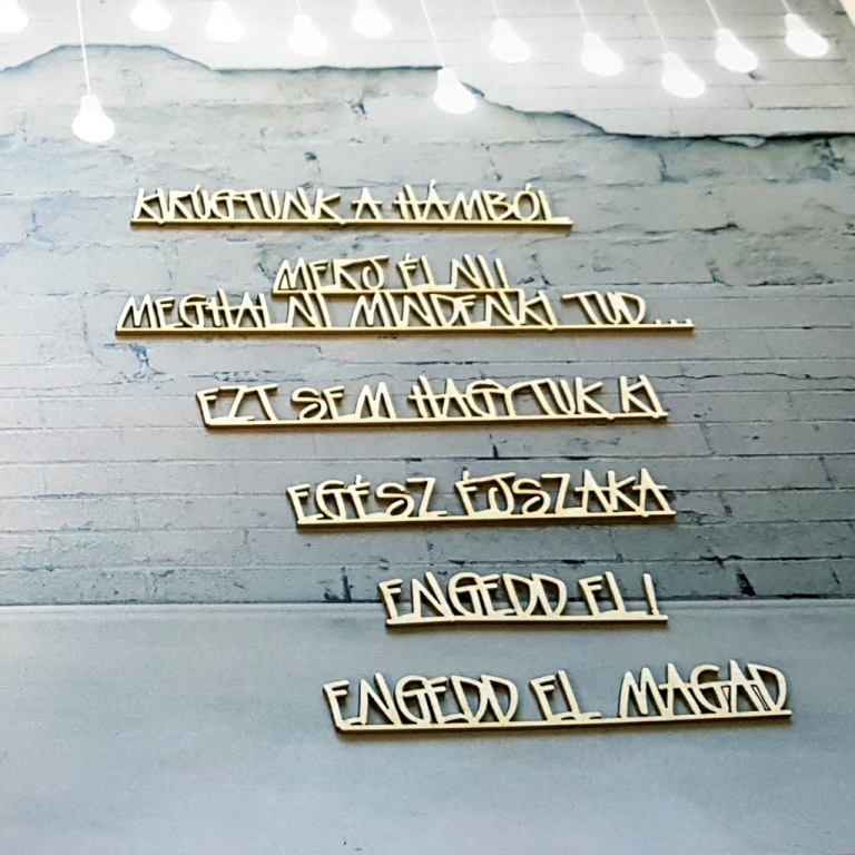 noicsizma_merj_elni_alkoto21__1557228005_963