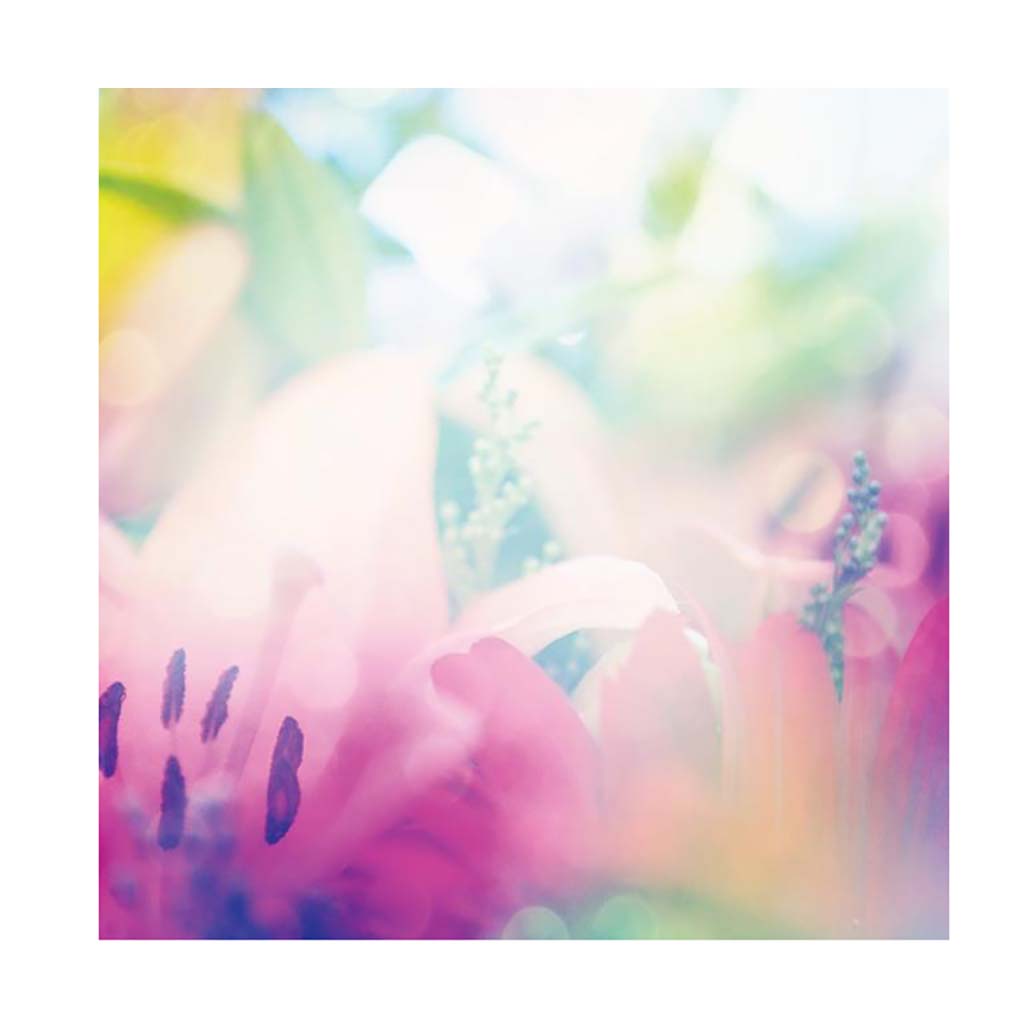 noicsizma_merj_elni_papirkeszlet10__1557227597_787