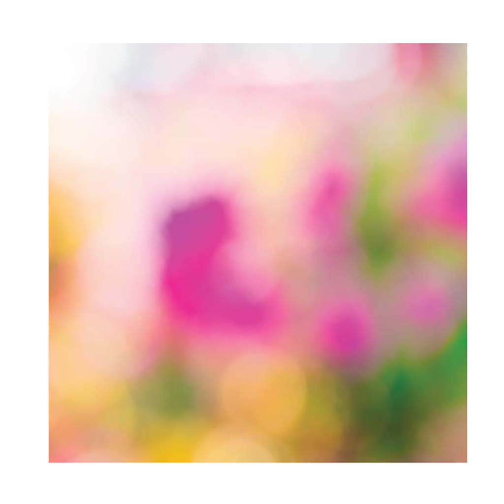 noicsizma_merj_elni_papirkeszlet11__1557227596_143