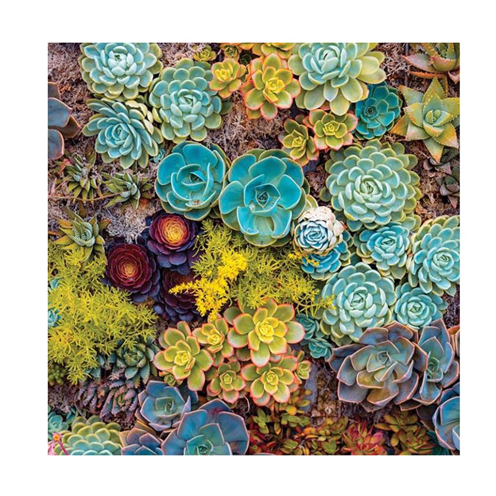 noicsizma_merj_elni_papirkeszlet3__1557227596_808