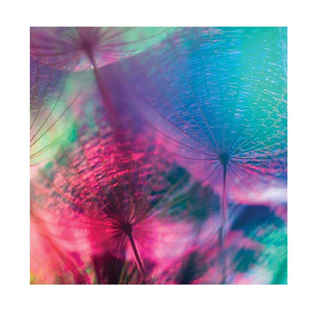 noicsizma_merj_elni_papirkeszlet6__1557227597_512