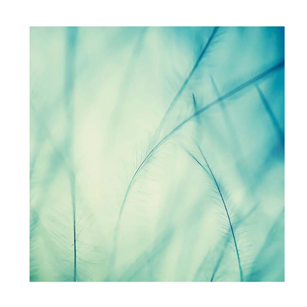 noicsizma_merj_elni_papirkeszlet9__1557227596_504