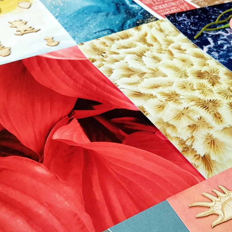 noicsizma_nyari_szel_alkoto16__1563521786_771