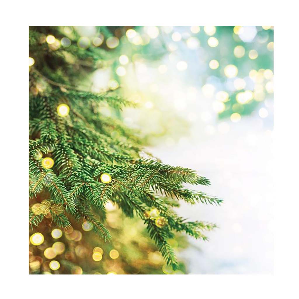 web_06__1541506818_627