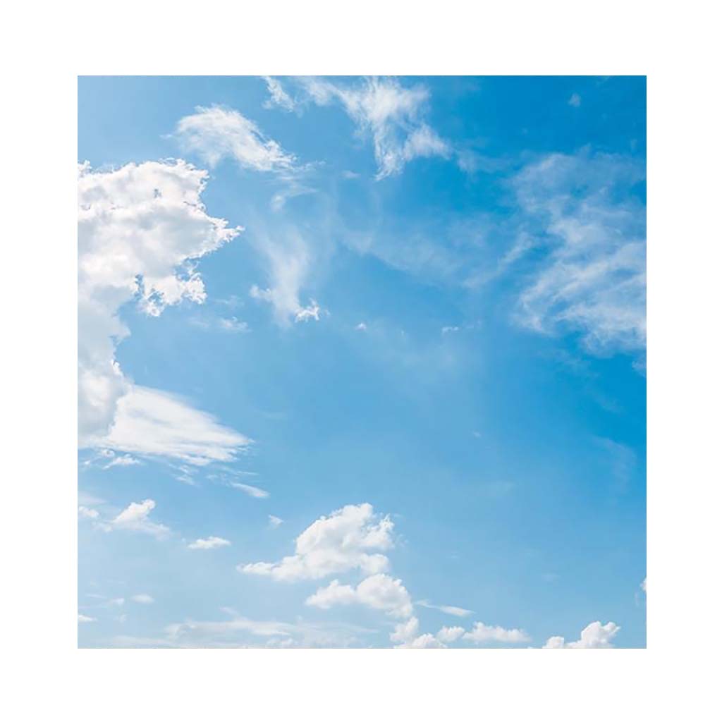 web_u_05__1541505340_151